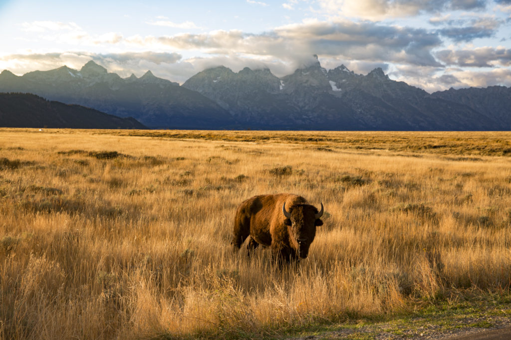 Yellowstone, Wyoming, HEMIS