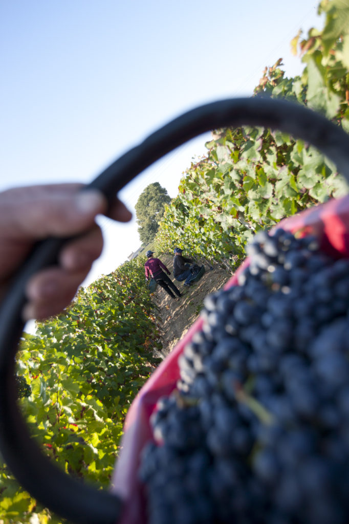 840-Chateau-de Sales-278